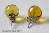 Aretes de ámbar tipo broquel (Mod. 0513)