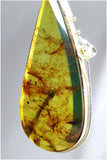 ARETES DE ÁMBAR MUSGOSO (MOD. NC-017)